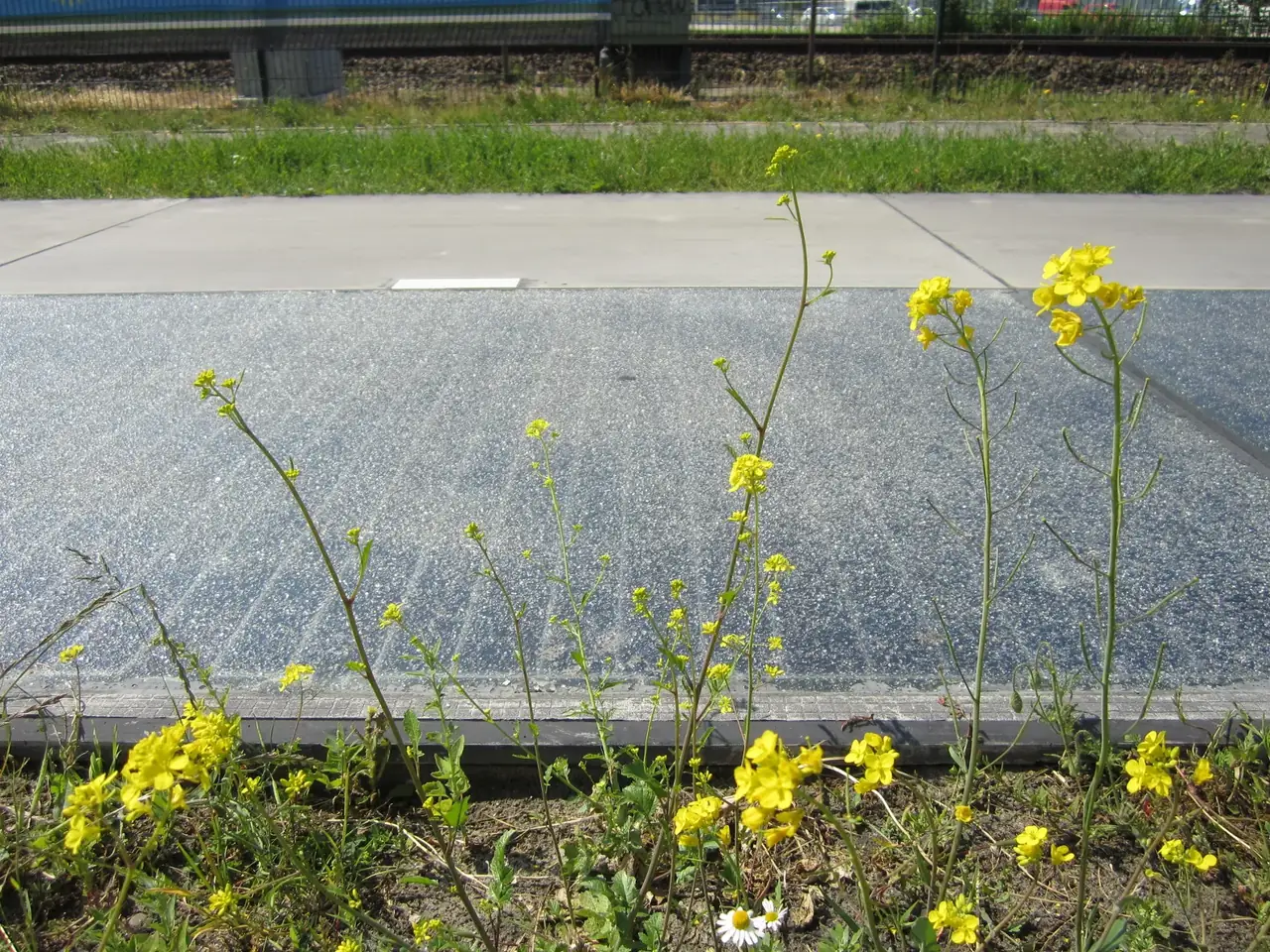 CONNECTING CORRIDOR